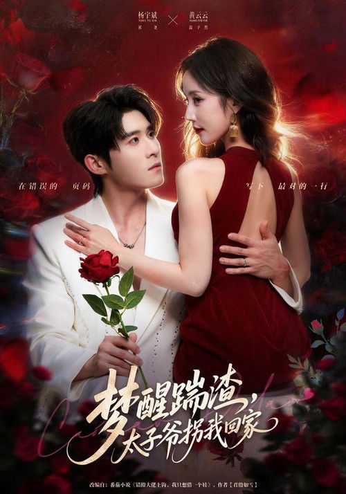 梦醒踹渣,太子爷拐我回家