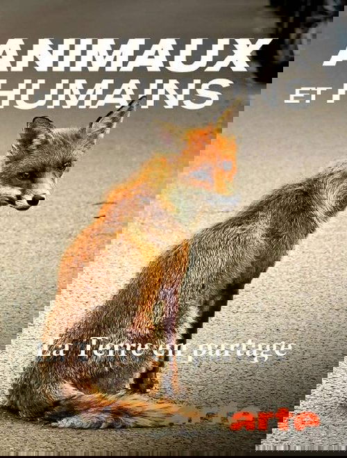 Wildnis 2.0 - Die Tierwelt auf Umwegen