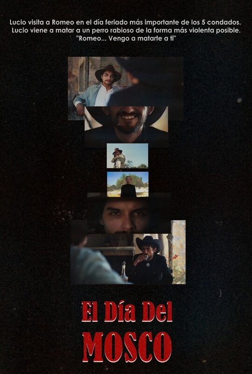 The day of the mosquito
