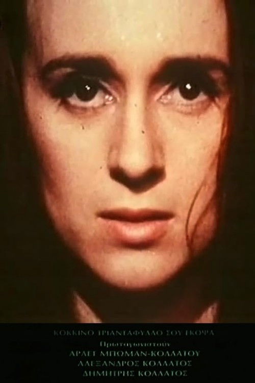 Κόκκινο τριαντάφυλλο σου έκοψα