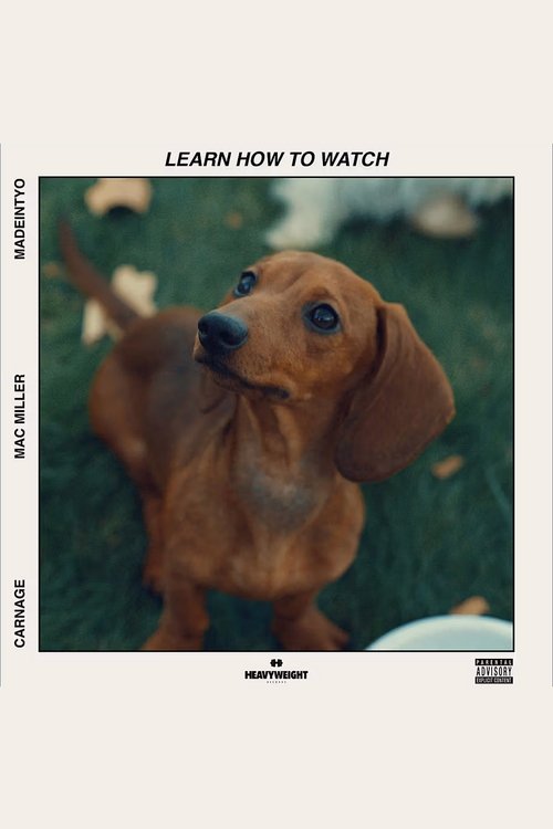 Learn How to Watch
