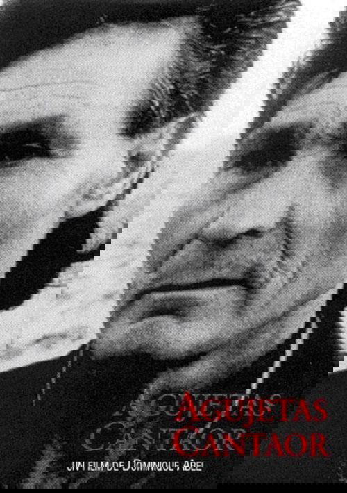Agujetas Cantaor