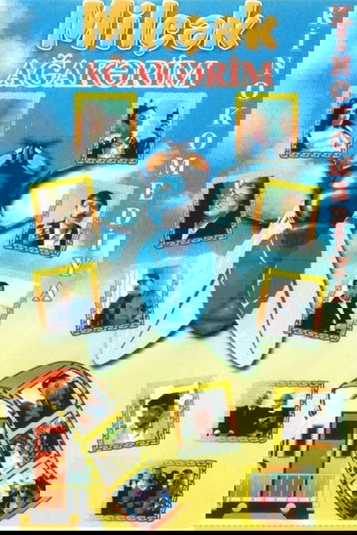 Fly