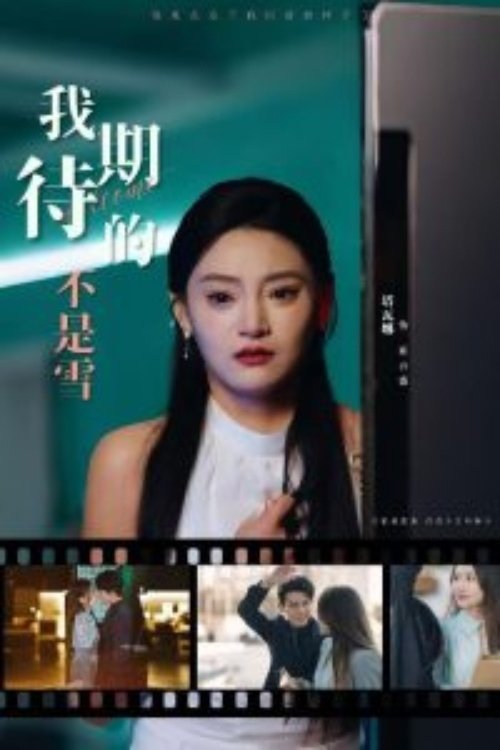 我期待的不是雪