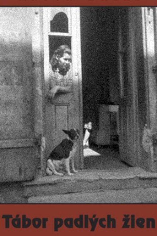 Camp of Fallen Women