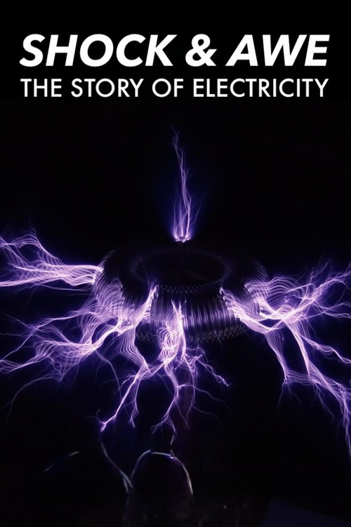 Shock and Awe: The Story of Electricity