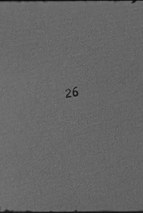 26