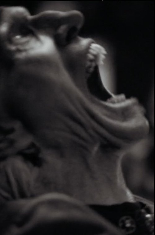 The Vampyre