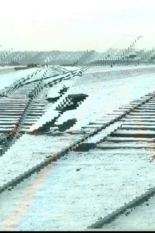 19 876 Steps in Auschwitz / Birkenau