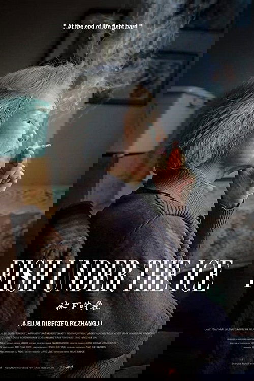 Fish Under the Ice