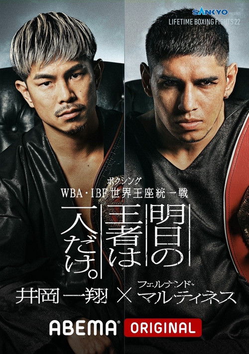 LIFETIME BOXING FIGHTS 22