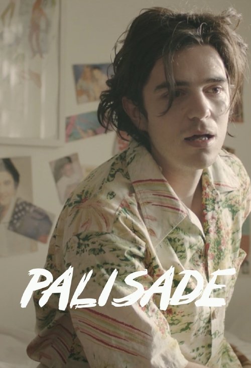 Palisade