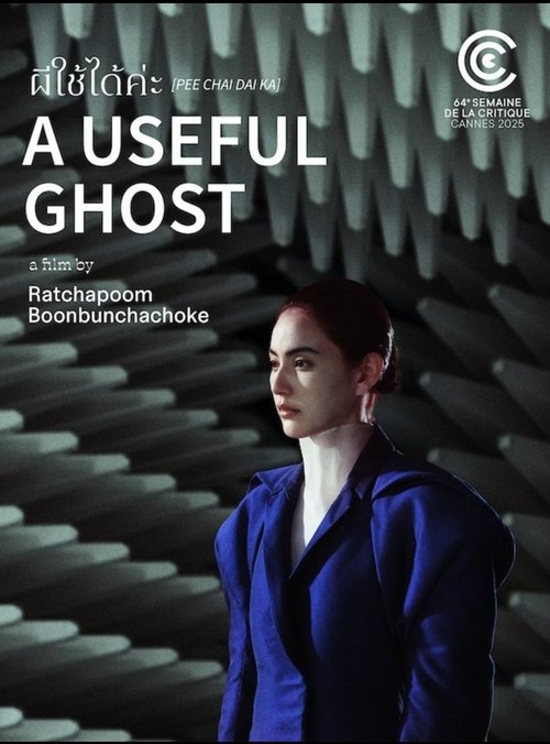 A Useful Ghost