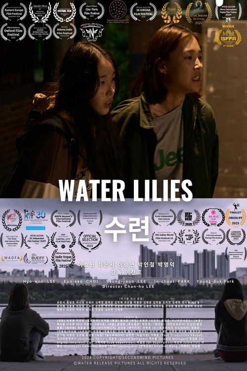 Water Lilies