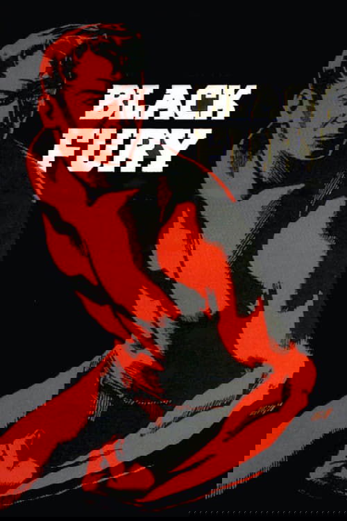 Black Fury