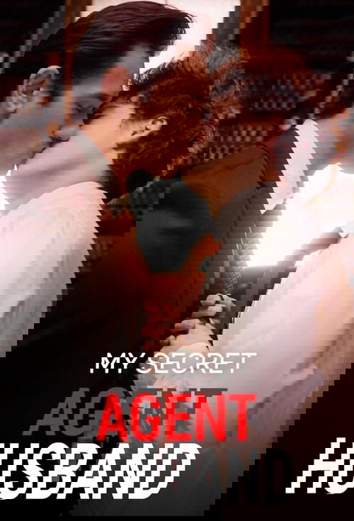 My Secret Agent Husband