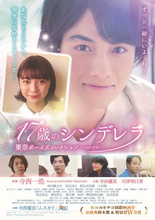 17歳のシンデレラ