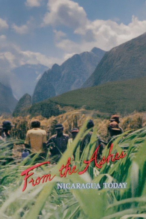 From the Ashes: Nicaragua Today