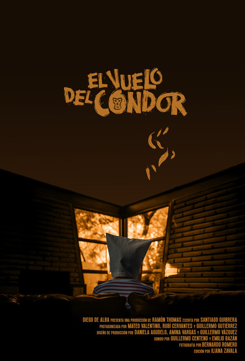 El vuelo del Cóndor