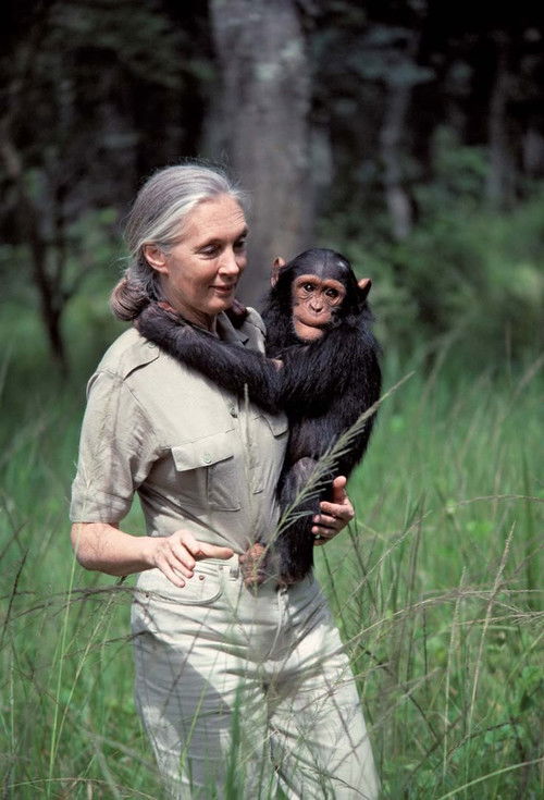Jane Goodall: An Inside Look