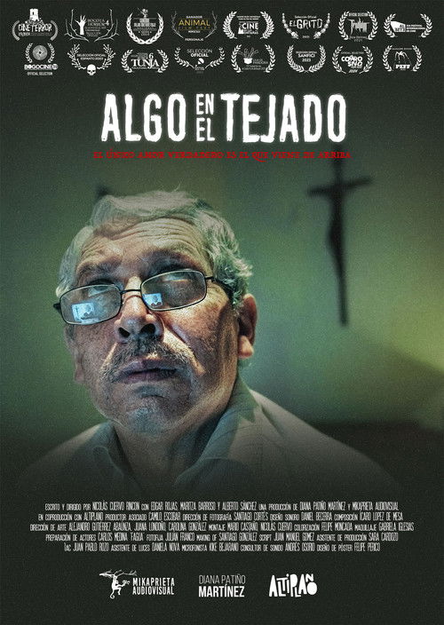 Something on the roof