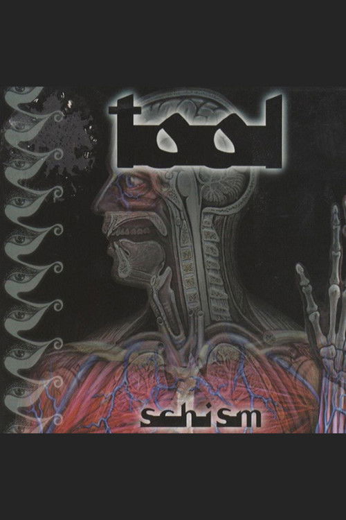 TOOL - Schism
