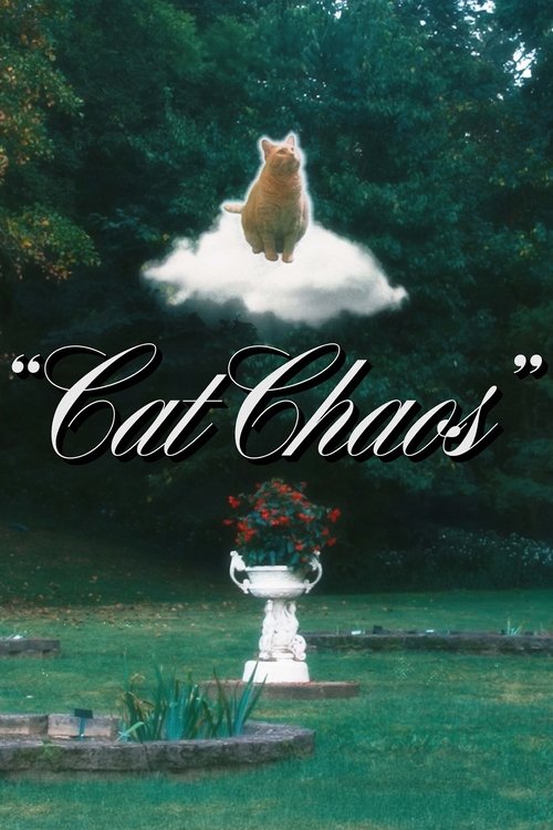 Cat Chaos