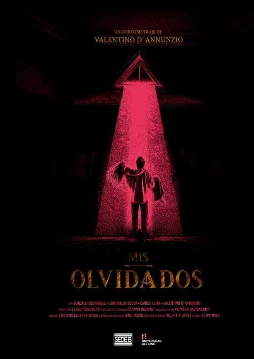 Mis Olvidados