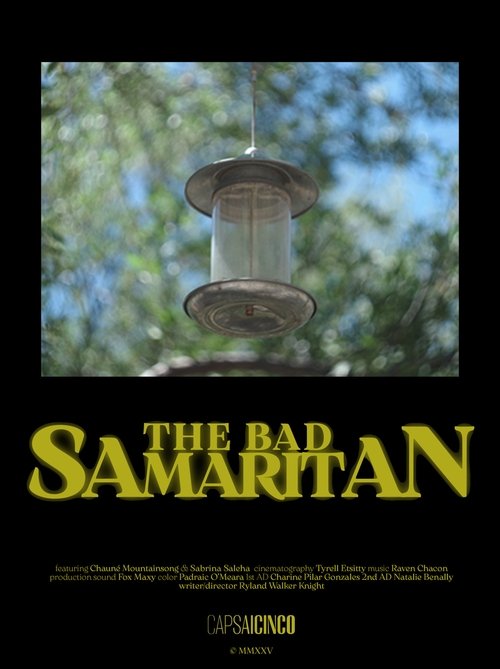 The Bad Samaritan