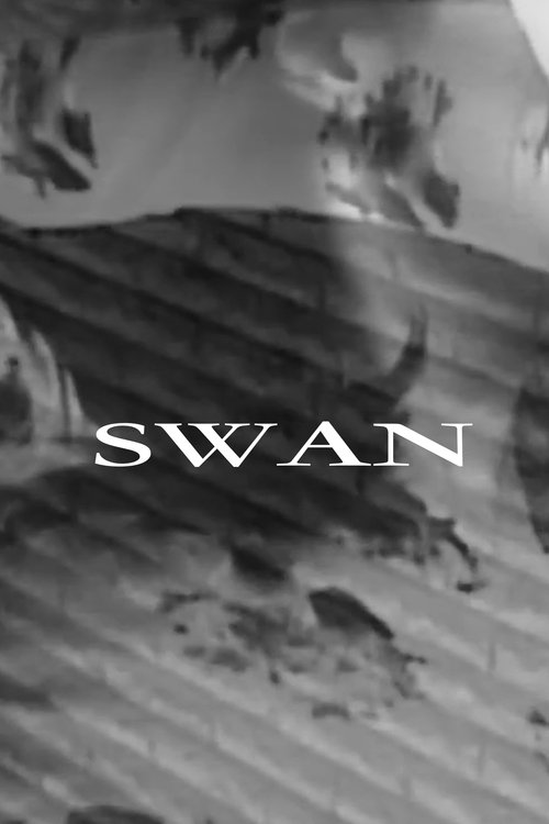 Swan