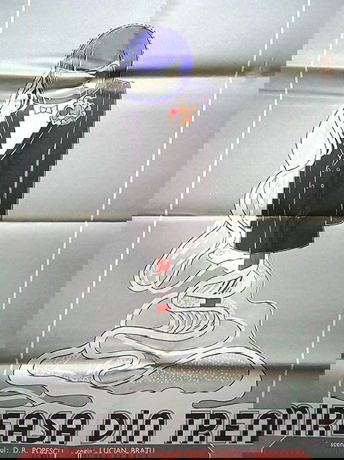 The Bride from the Train