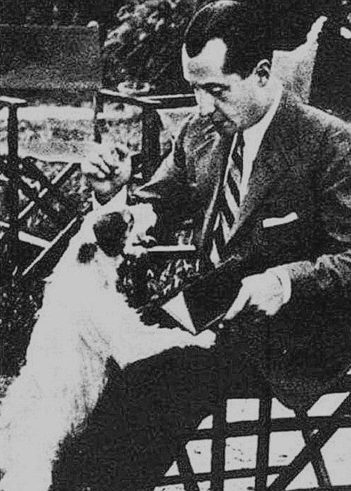 Bibliotecafalangista