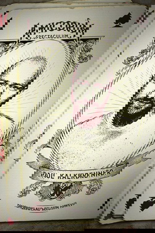 Paul Kalkbrenner - Live at Tomorrowland 2017