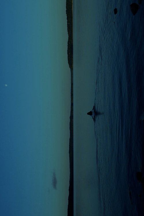 THE WATERS
