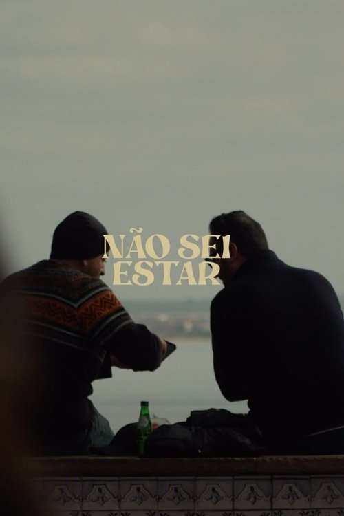 Não Sei Estar