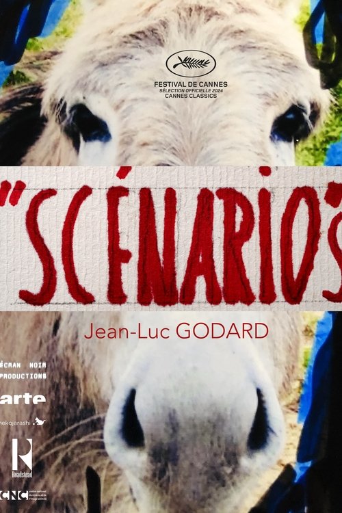 Exposé du film annonce du film "Scénario"