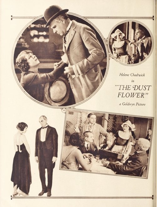The Dust Flower