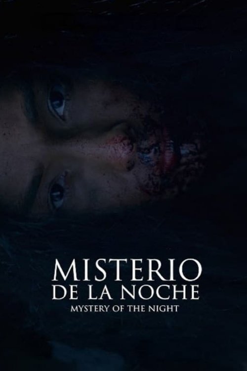 Mystery of the Night