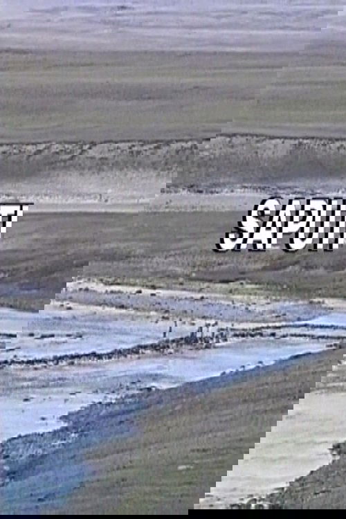 Fish Traps