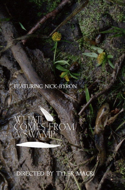 What Comes from a Swamp