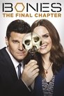 Season 12 - The Final Chapter