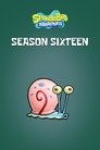 Season 16