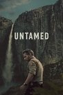 Limited Series