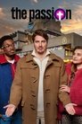 Season 15