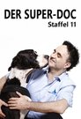 Season 11