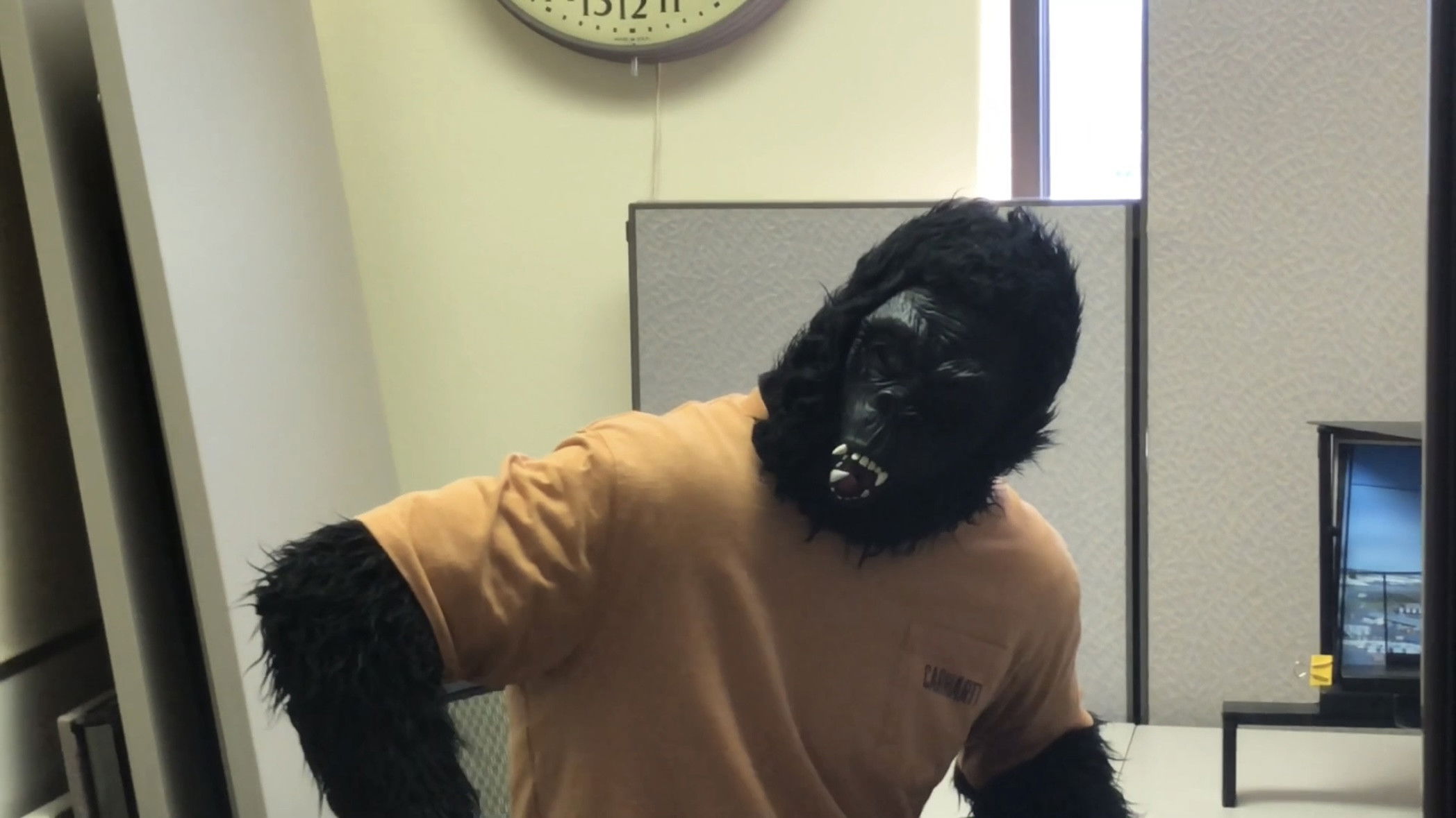 Working with Bigfoot