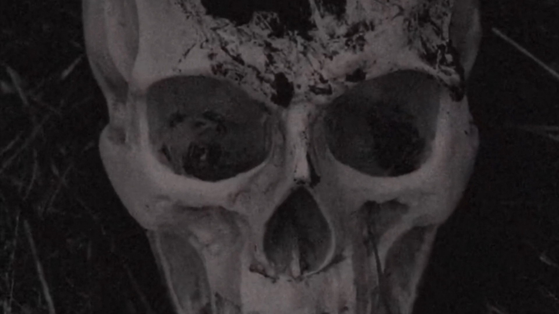 The Volition Of A Bygone Priest