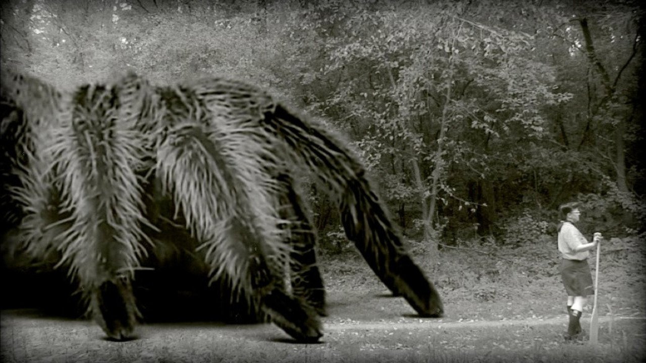 The Giant Spider