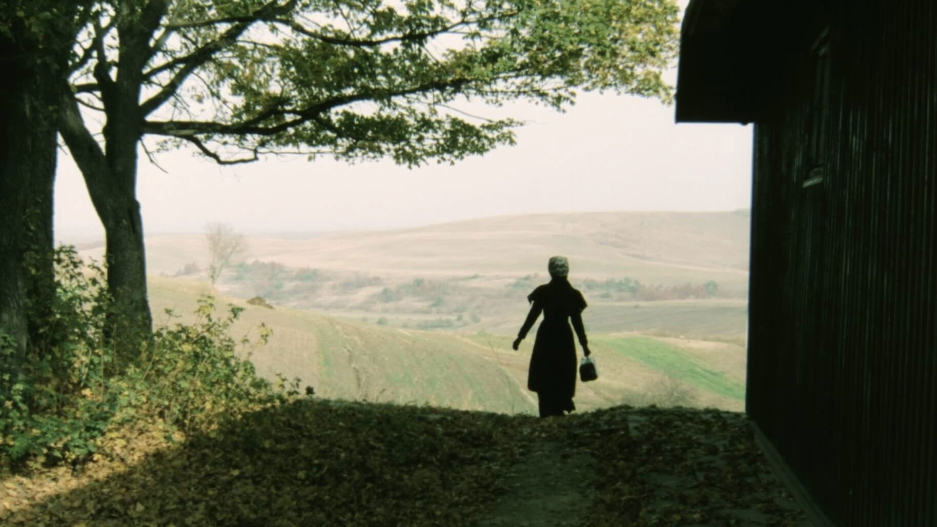 The Birthday Present