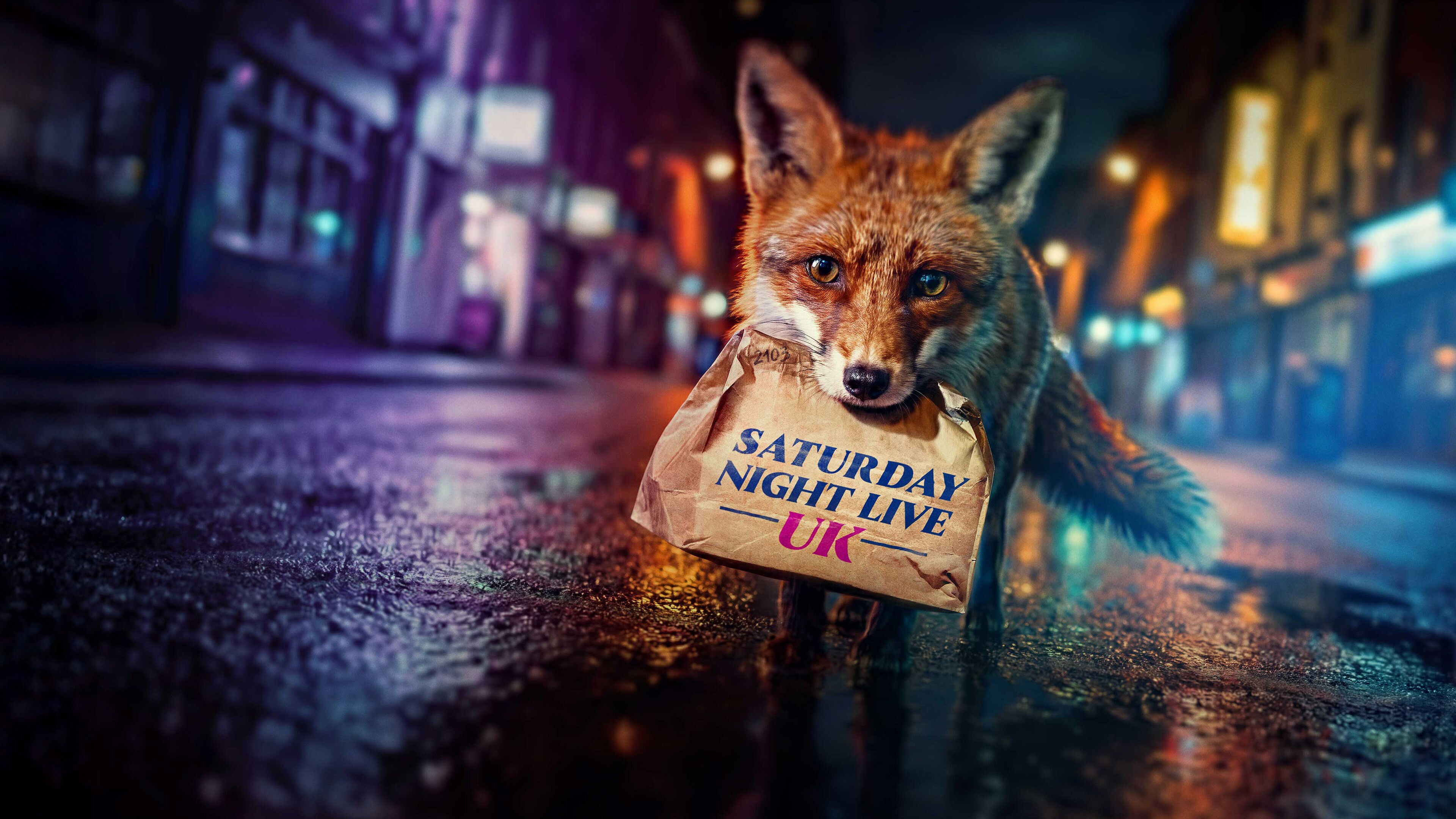 Saturday Night Live UK